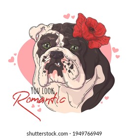 Hand drawn bulldog with flowers Vector. Isolated objects for your design. Each object can be changed and moved.