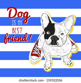 Hand drawn bulldog illustration in red sneakers on striped background