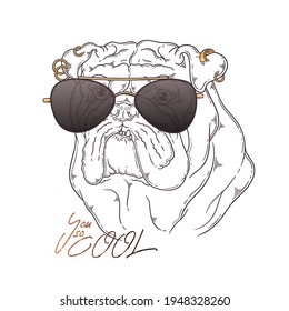 Hand drawn bulldog portrait with accessories Vector. Isolated objects for your design. Each object can be changed and moved.