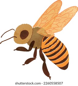 Hand drawn bumblebee isolated on white background. Vector illustration in retro style.