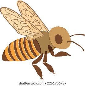 Hand drawn bumblebee isolated on white background. Vector illustration in retro style.