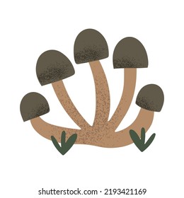 Hand drawn bunch of edible shimeji mushrooms, isolated on white vector illustration