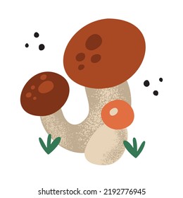 Hand drawn bunch of forest mushrooms, isolated on white background vector illustration in flat style