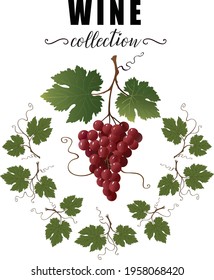Handgezeichneter Haufen Trauben und Blätter auf weißem Hintergrund. Dekorative Elemente für Etiketten, Banner und anderes Design. Vektorgrafik. 