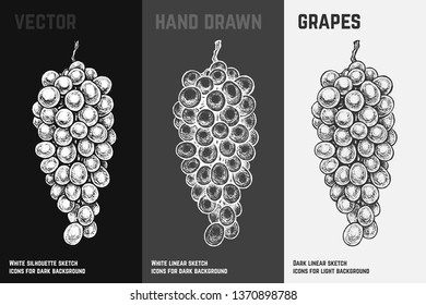 Montones de uvas dibujadas a mano aisladas sobre fondo de tiza blanco, gris y negro. Dibujo de frutas grabado y estilizado para el embalaje de vino y el diseño de menús. Ilustración vectorial vintage.