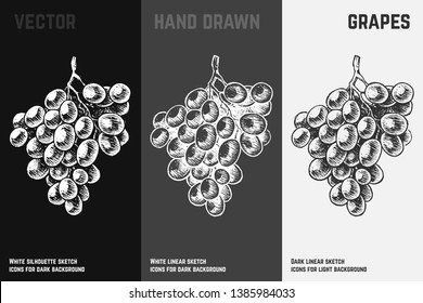 Hand drawn bunch of grapes set isolated on white, gray and black chalk background. Engraved styled sketch of fruits for wine packaging and menu design. Vintage vector illustration.