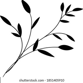 Hand Drawn Bunch of leaves or set of botanical leaves, leaf collection