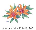 Hand drawn bunch with orange lily flowers, bud and leaves isolated on white. Vector elegant floral composition with Tiger lilies in vintage style.