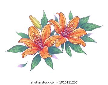 Hand drawn bunch with orange lily flowers, bud and leaves isolated on white. Vector elegant floral composition with Tiger lilies in vintage style.