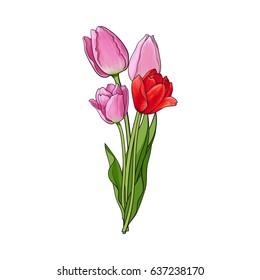 Hand drawn bunch of three side view pink tulip flower, sketch style vector illustration isolated on white background. Realistic hand drawing of three tulip flower bouquet, decoration element