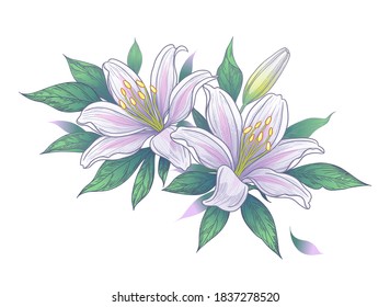 Hand drawn bunch with white lily flowers, bud and leaves isolated on white. Vector elegant floral composition in vintage style, t-shirt, tattoo design, wedding decoration.