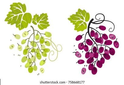 Hand drawn bunches of white and red  grapes with leaves, cutted berries and seeds. Decorative elements for murals, textile, banners, labels, menu.