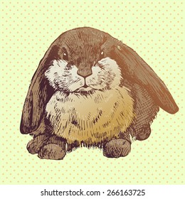 Hand drawn bunny . Cute hare with small ears. Easter Bunny.