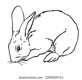 hand drawn bunny rabbit vector illustration