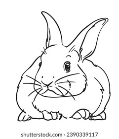 hand drawn bunny rabbit vector illustration