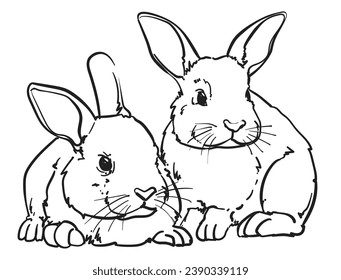 hand drawn bunny rabbit vector illustration