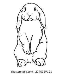 hand drawn bunny rabbit vector illustration