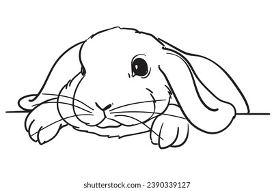 hand drawn bunny rabbit vector illustration