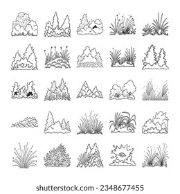 hand drawn bush illustration isolated on white background.