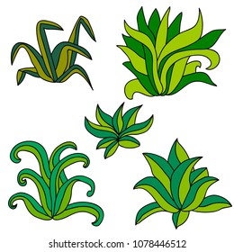 Hand drawn bush set isolated on white background for coloring book. Vector illustration.