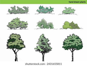 Hand Drawn Bushes and Trees