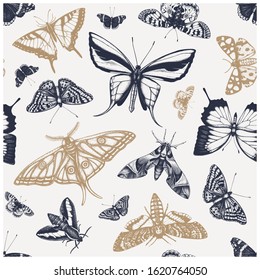 Hand drawn butterflies seamless pattern. High detailed insects backdrop in vintage style. Engraved butterflies background. Entomological illustration with insects outlines. 