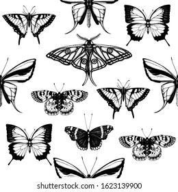 Hand drawn butterflies seamless pattern. Vintage backdrop with high detailed insects sketches. Entomological background for fabric, banner, wrapping paper, wallpapers. Butterflies illustration.