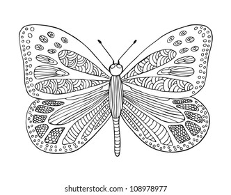 hand drawn butterfly
