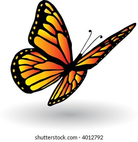 Hand drawn butterfly