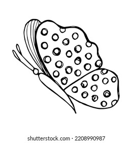 Hand drawn butterfly doodle element for coloring, invitation, postcard.