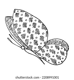 Hand drawn butterfly doodle element for coloring, invitation, postcard.
