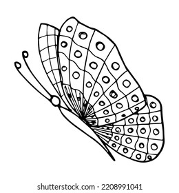 Hand drawn butterfly doodle element for coloring, invitation, postcard.