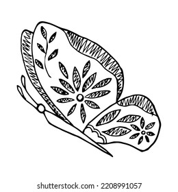 Hand drawn butterfly doodle element for coloring, invitation, postcard.