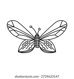 Hand drawn butterfly. Doodle vector illustration. Isolated on a white background.
