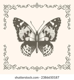 Hand drawn butterfly. Butterfly with frame in vintage style. Drawing for printing on T-shirts, printing.