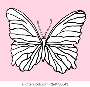 Hand drawn butterfly with grungy effect. Design element for text decoration - web and printed media.