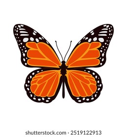 Vetor de ilustração borboleta desenhado à mão