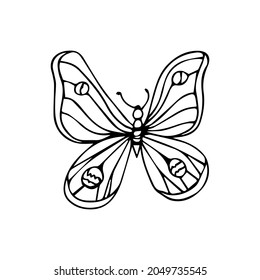 Hand drawn butterfly isolated on white background. Vector line illustraton. 10 EPS