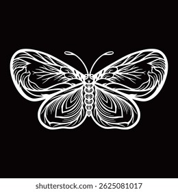 hand drawn butterfly isolated on black