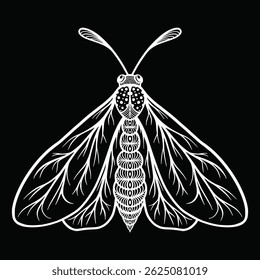 hand drawn butterfly isolated on black