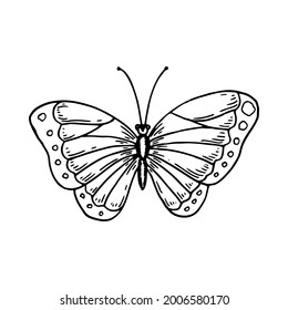 Hand Drawn Butterfly Isolated White Vector Stock Vector (royalty Free 