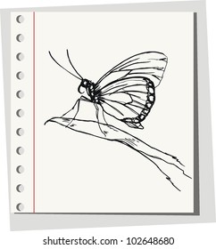 Hand drawn butterfly on a leaf