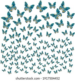 Hand drawn butterfly pattern. Flower butterflies, moth wings and spring colorful flying insect. Drawing flying papillon butterflies isolated vector collection