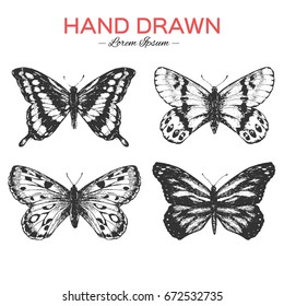 Hand drawn Butterfly. Retro hand-drawn nature elements vector illustration.