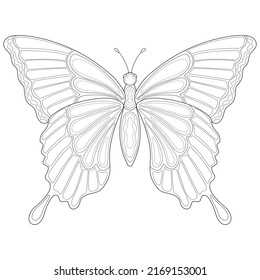 Hand drawn butterfly with simple patterns on a white isolated background. Insect, summer. for coloring book pages.