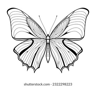 Hand drawn butterfly. Sketch for anti-stress adult coloring book. Vector illustration for coloring page.
