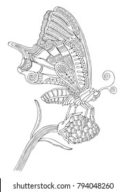 Hand drawn butterfly. Sketch for anti-stress adult coloring book in zen-tangle style. Vector illustration for coloring page.