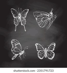 Hand drawn butterfly sketch set on chalkboard background. Monochrome insects doodle. Black and white vintage elements. Vector sketch. Detailed retro style.
