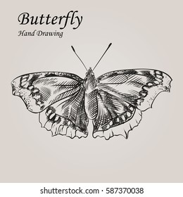 Hand drawn Butterfly in sketch style. Retro hand-drawn nature elements vector illustration. Great for poster, banner, voucher, coupon. 