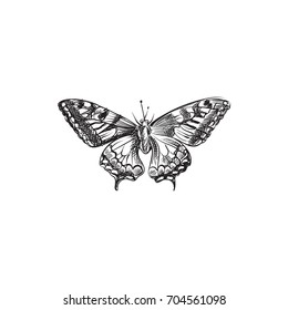 Butterflies Silhouettes Butterfly Icons Isolated On Stock Illustration ...